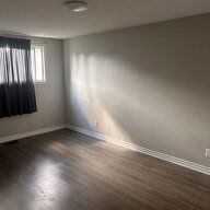 Kolokasie Ottawa 623072