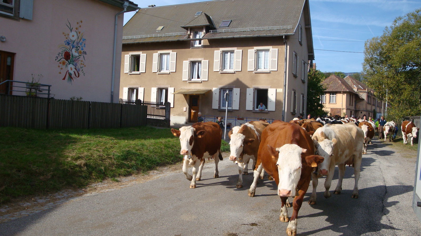 Hele Huis Stosswihr 93821