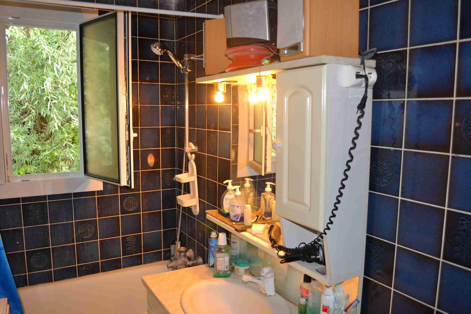 Hele Huis Ferney-Voltaire 258681