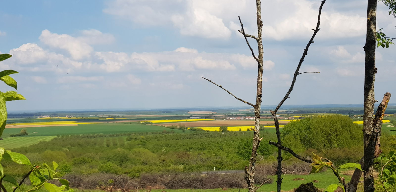 Niezależne Studio Thillot 471108