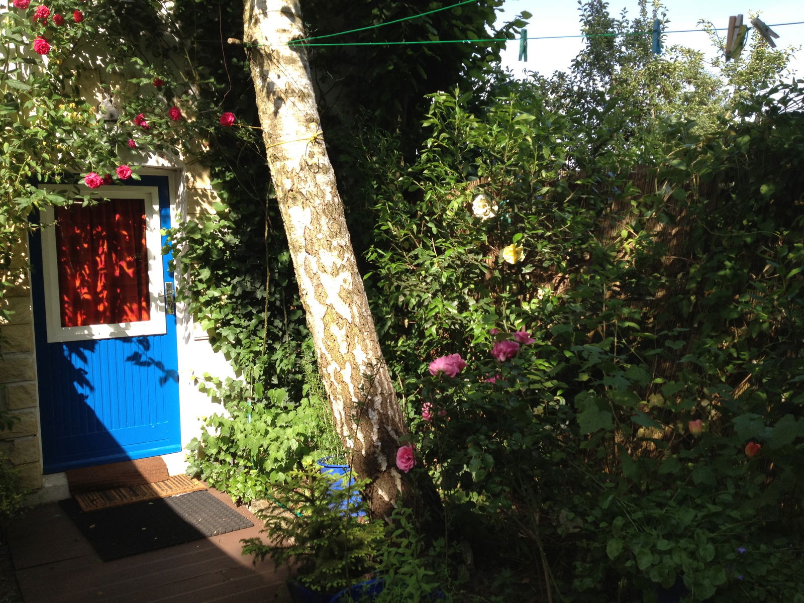 Hela Huset Ferney-Voltaire 268531