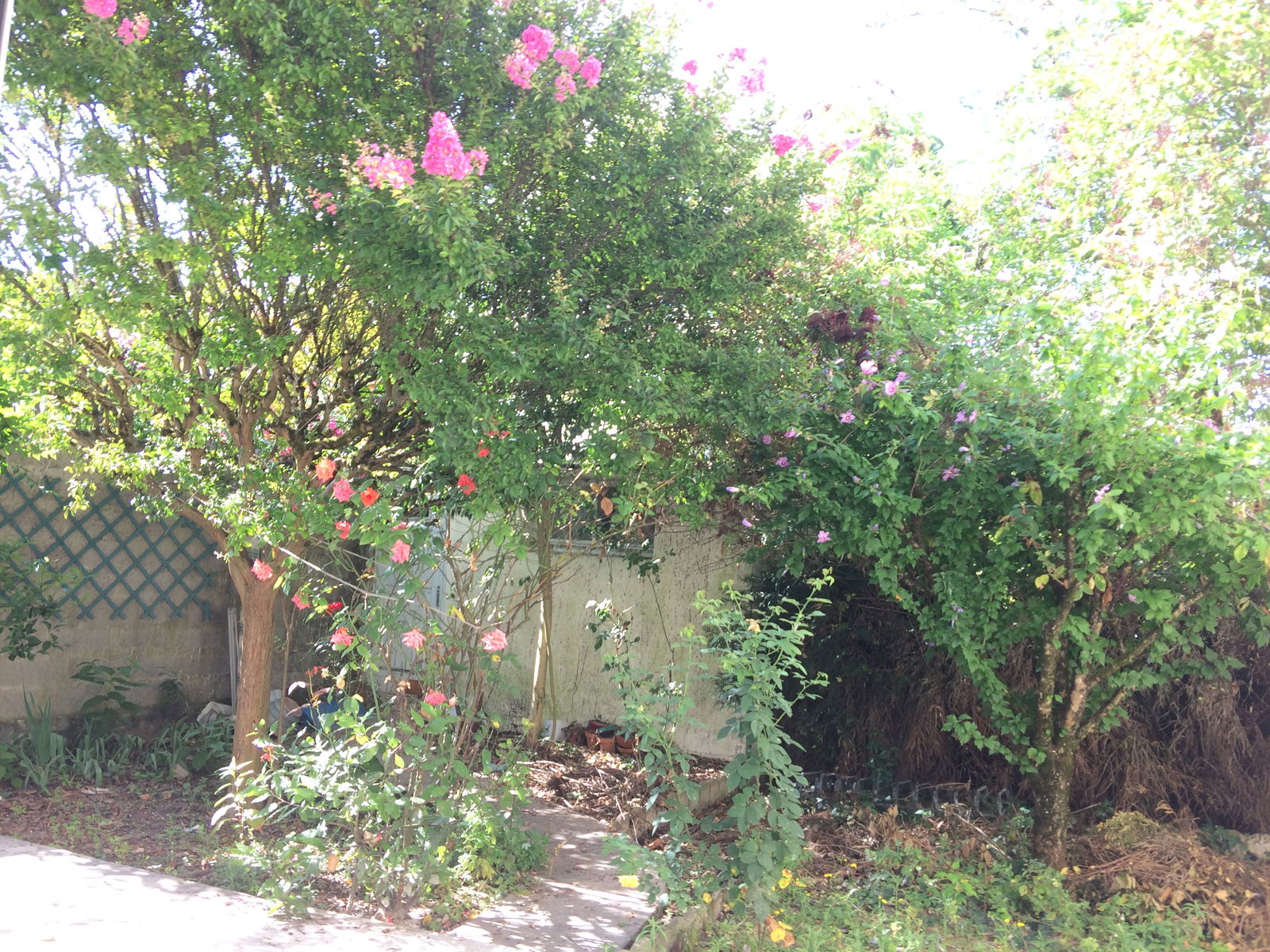 Colocation Bordeaux 396233