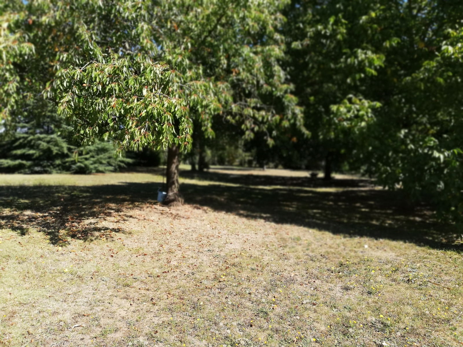 Zakwaterowanie U Rodziny Chaveignes 222960