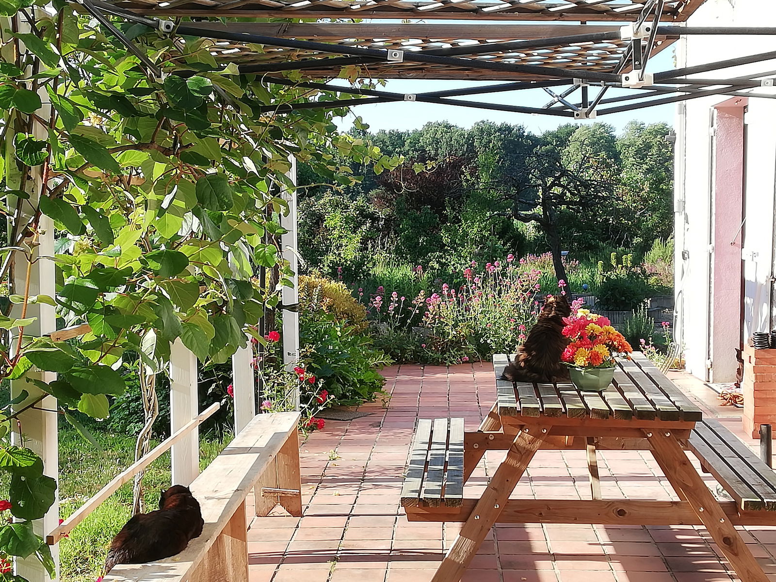 Hjemmeophold Chaveignes 222936