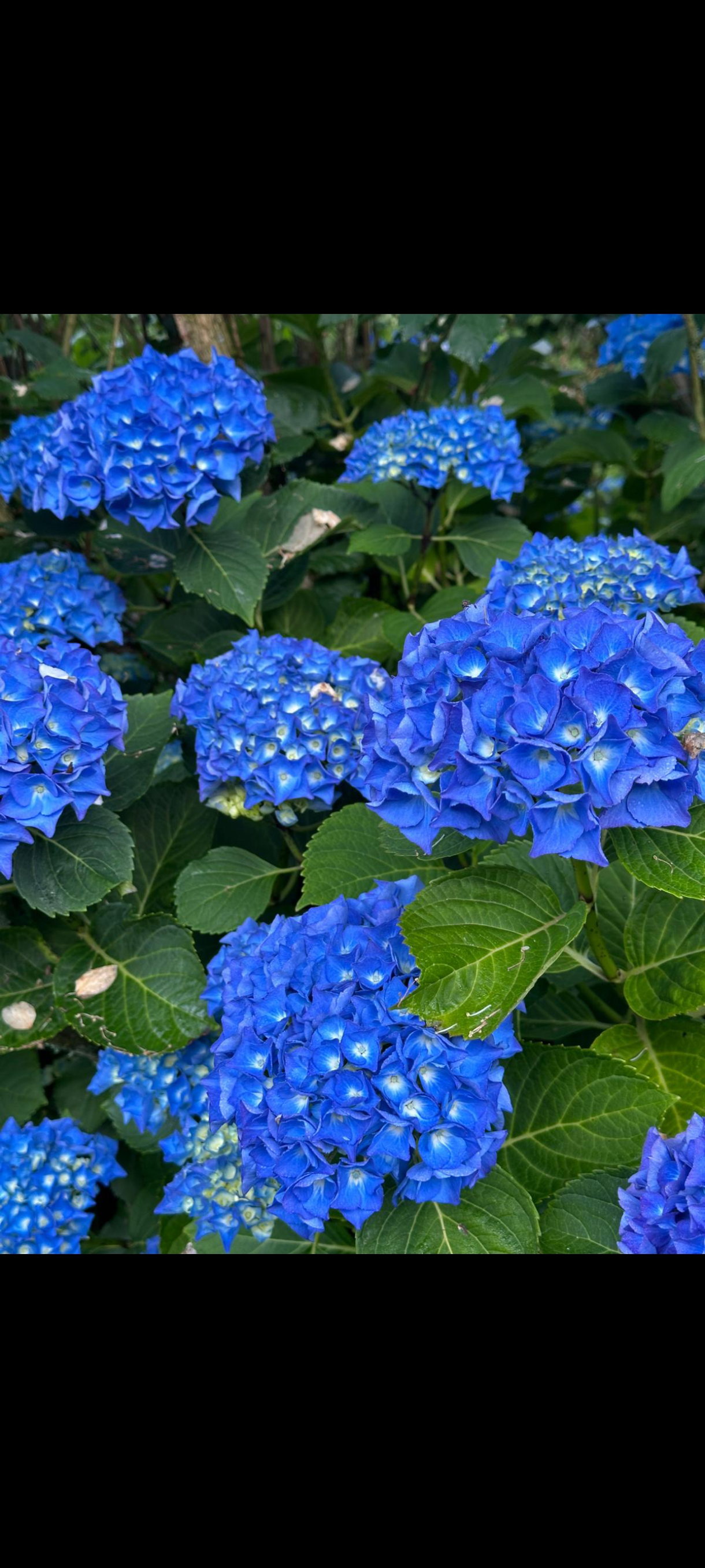 Zakwaterowanie U Rodziny Nanterre 268696