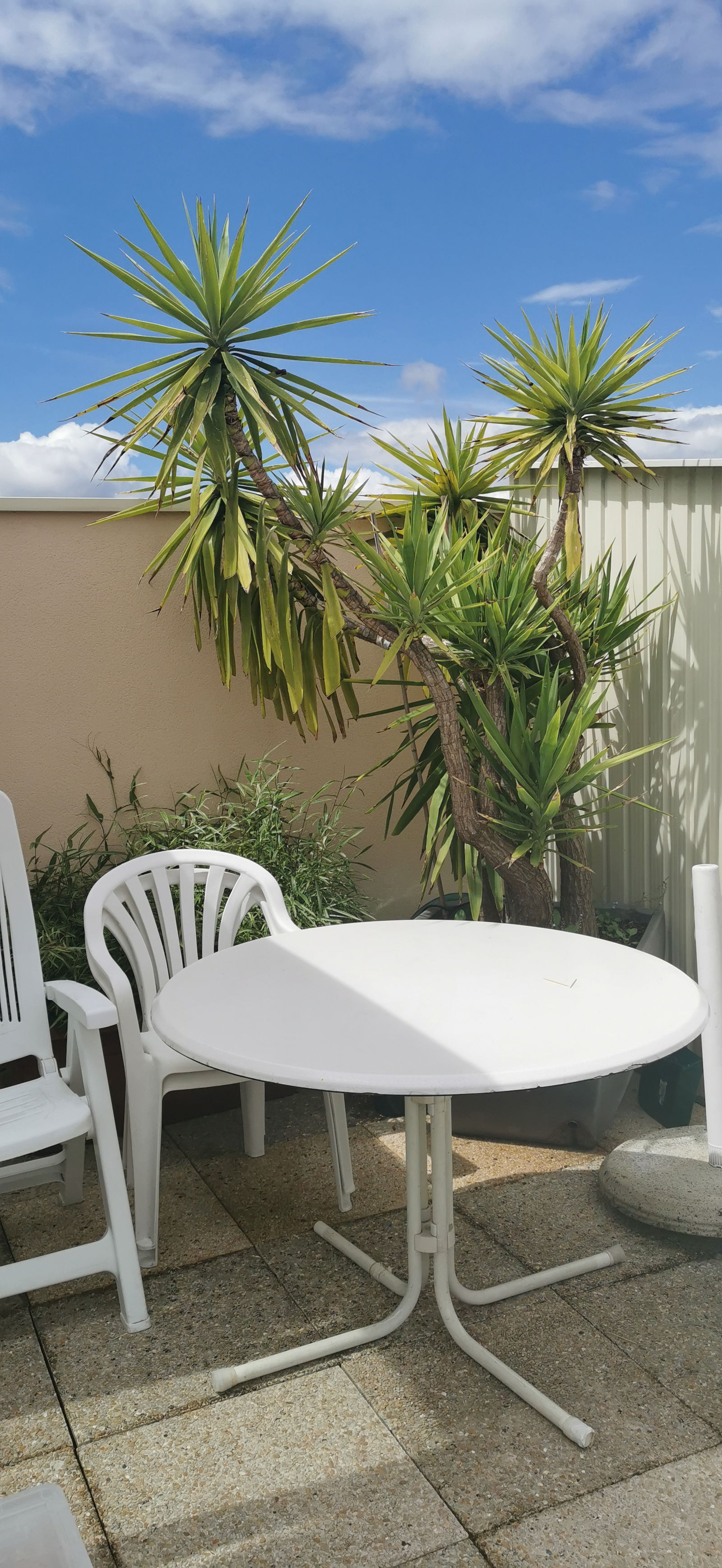 Tuisverblyf Nanterre 268696