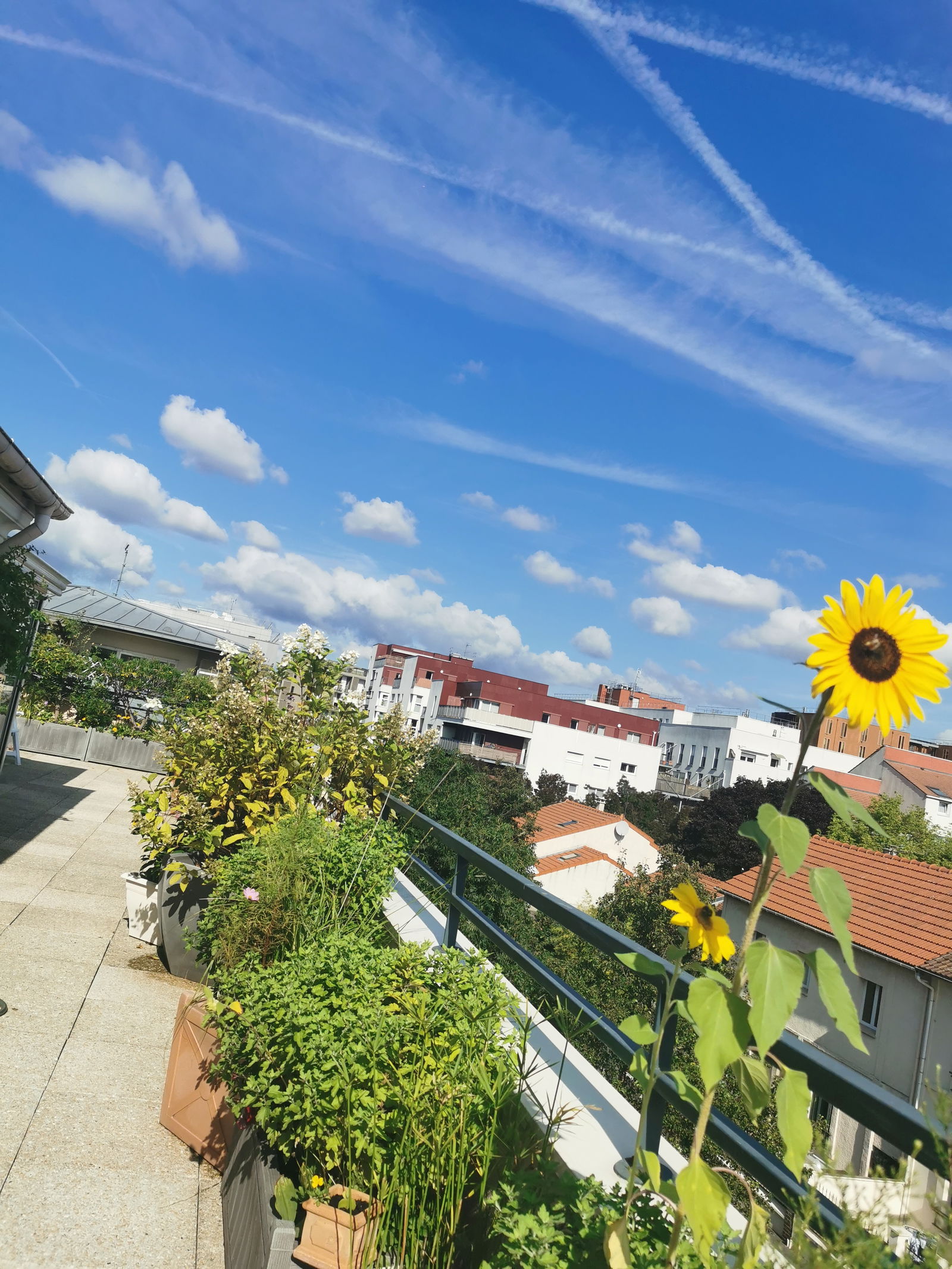 Hospedagem Em Casa De Família Nanterre 268696