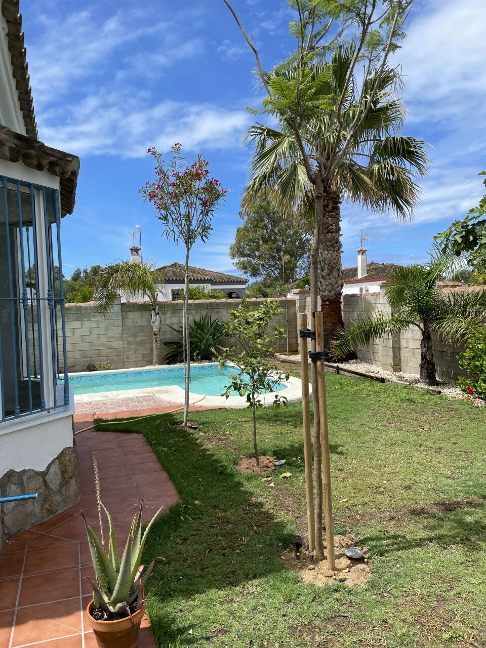 Gastfamilie Chiclana de la Frontera 250728