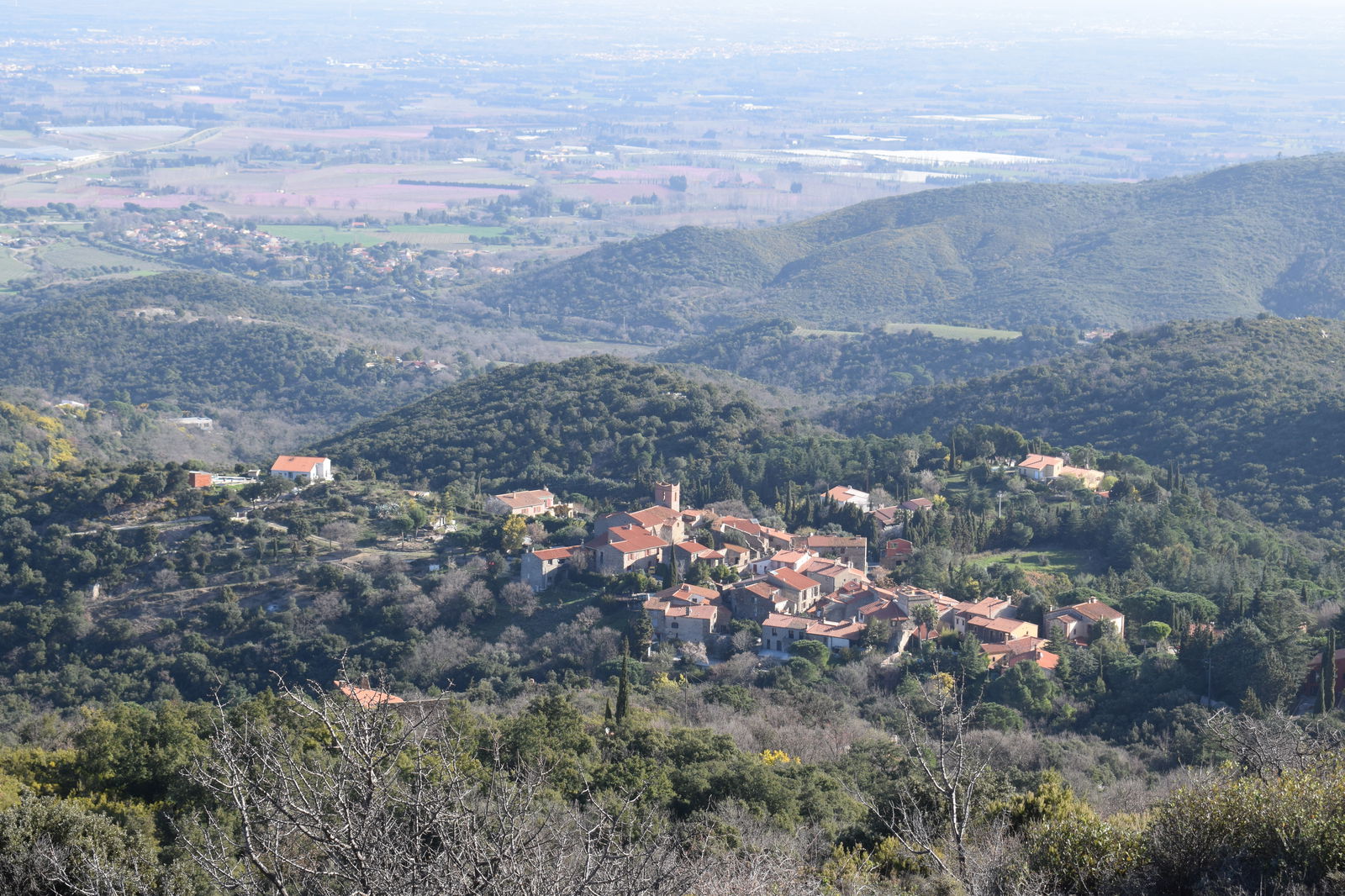Famiglia Corbère-les-Cabanes 265071