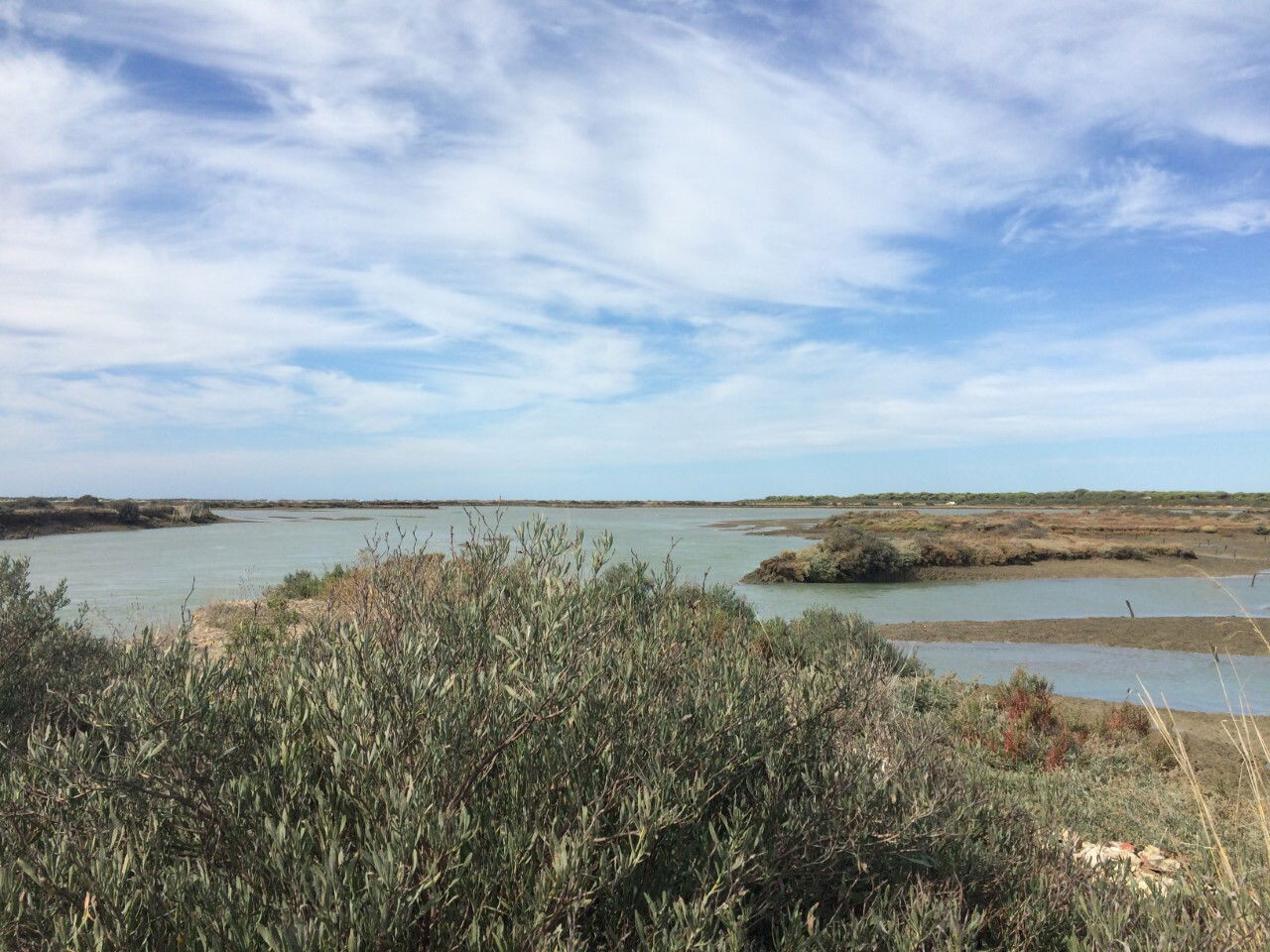 Famiglia Chiclana de la Frontera 250728