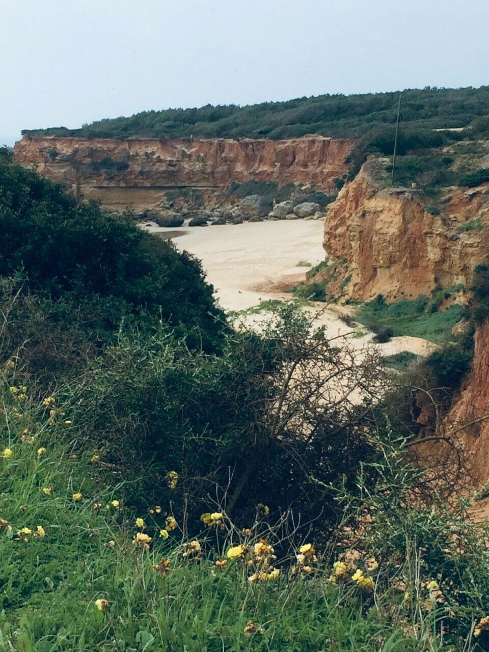 Famiglia Chiclana de la Frontera 250728