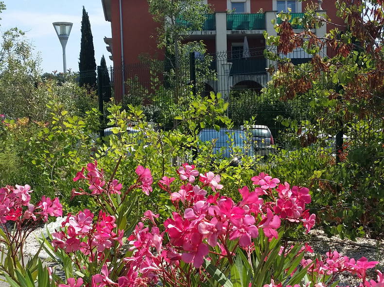 Logement Entier Aix-en-Provence 159735-5