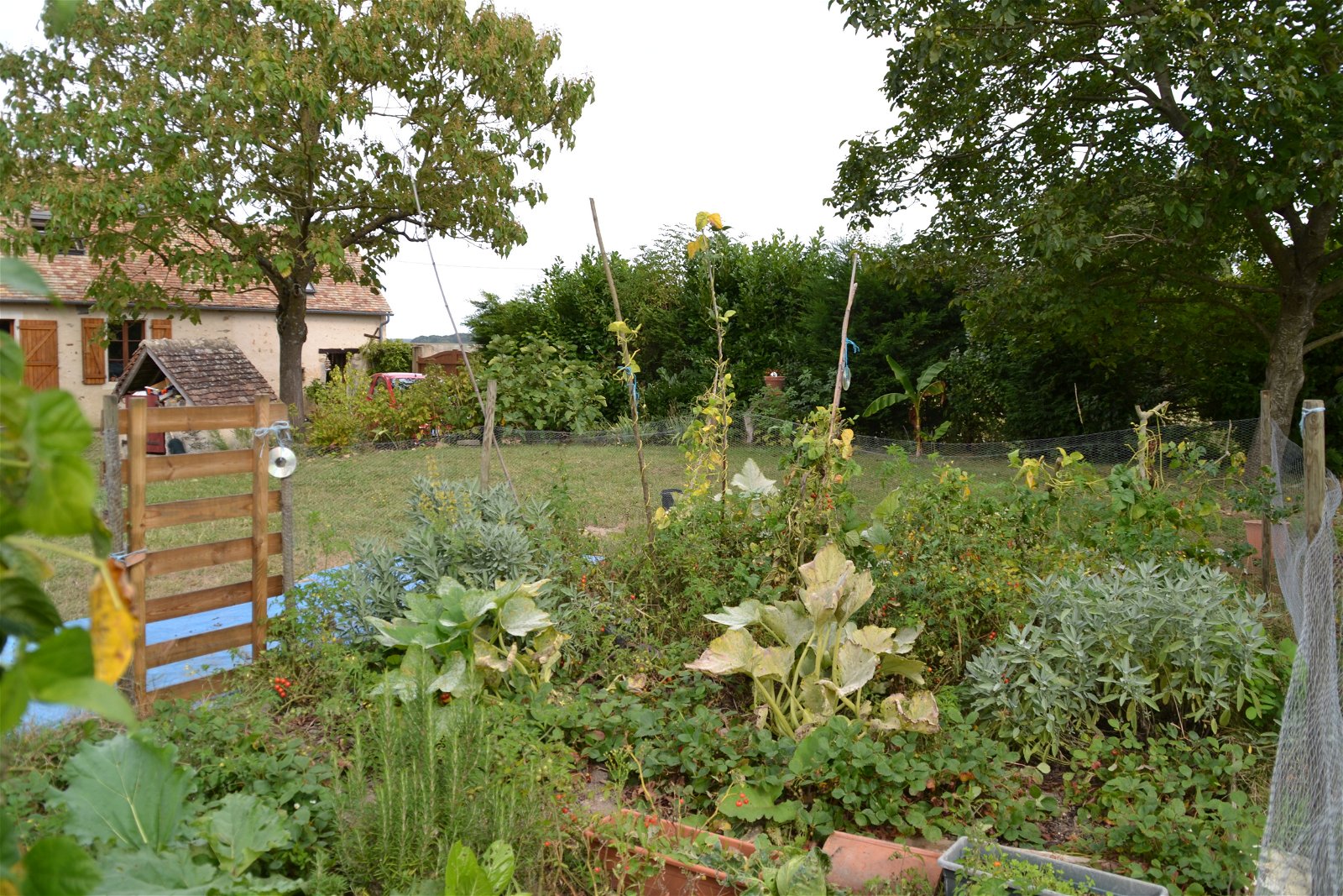 Homestay Volnay 165955