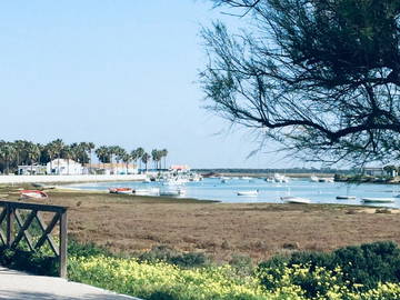 Chambre Chez L'habitant Chiclana De La Frontera 250728-11