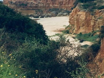 Chambre Chez L'habitant Chiclana De La Frontera 250728-12