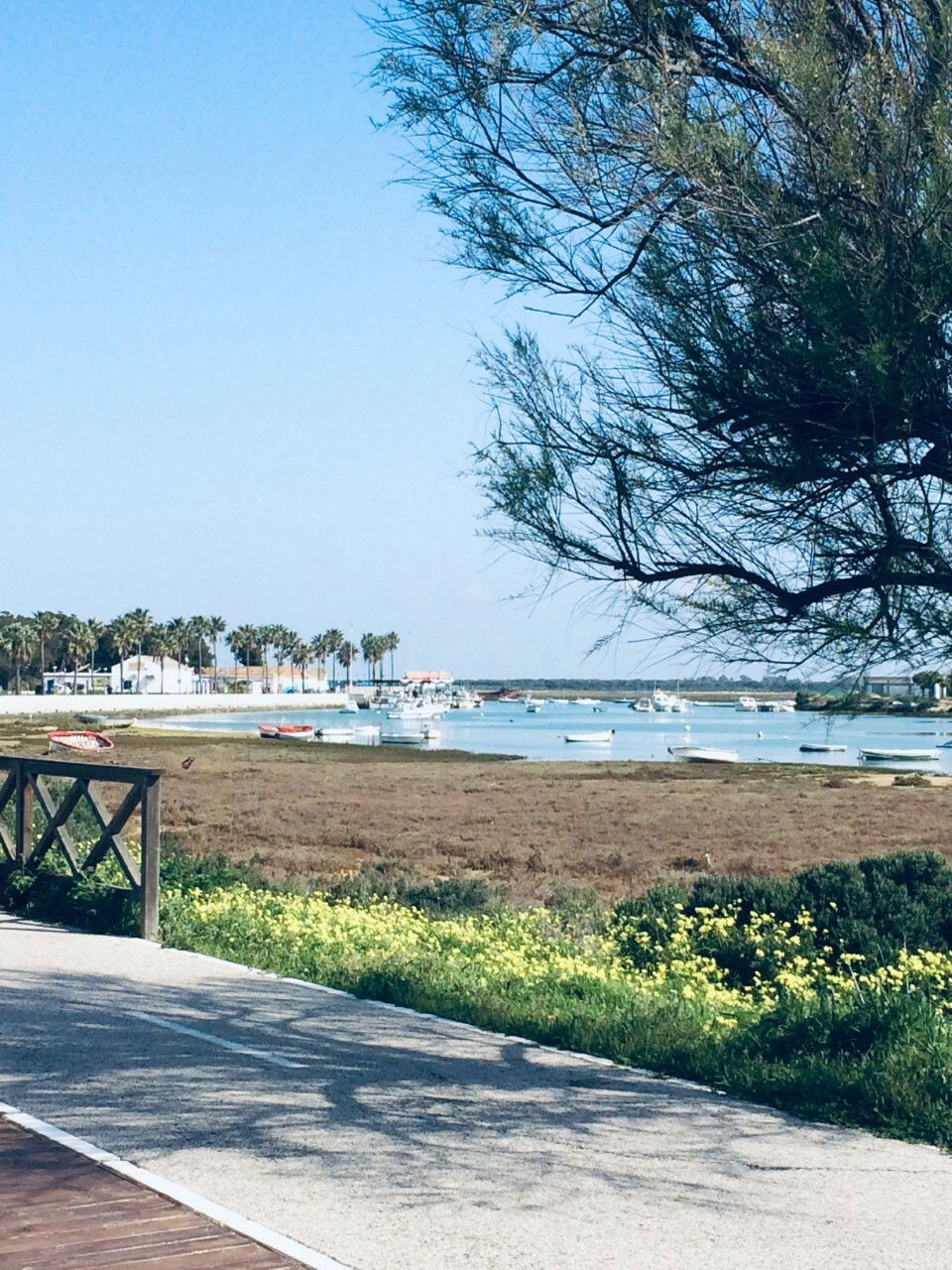 Homestay Chiclana de la Frontera 250731