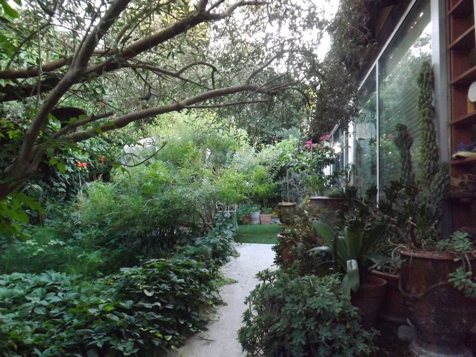 Homestay Lattes 631775