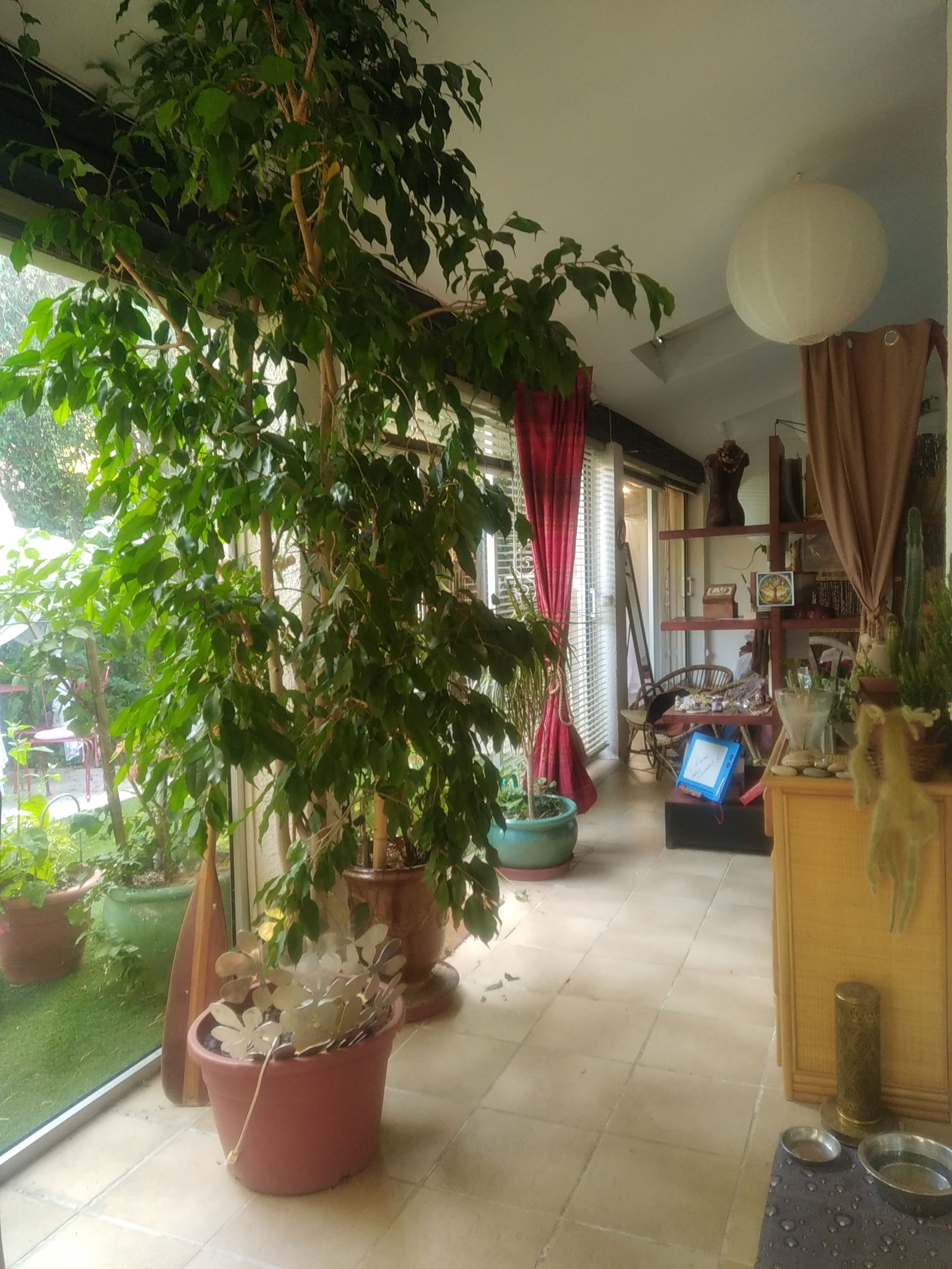 Homestay Lattes 631775