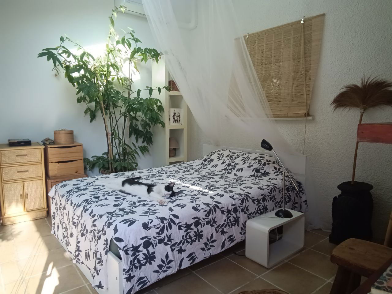 Homestay Lattes 631775