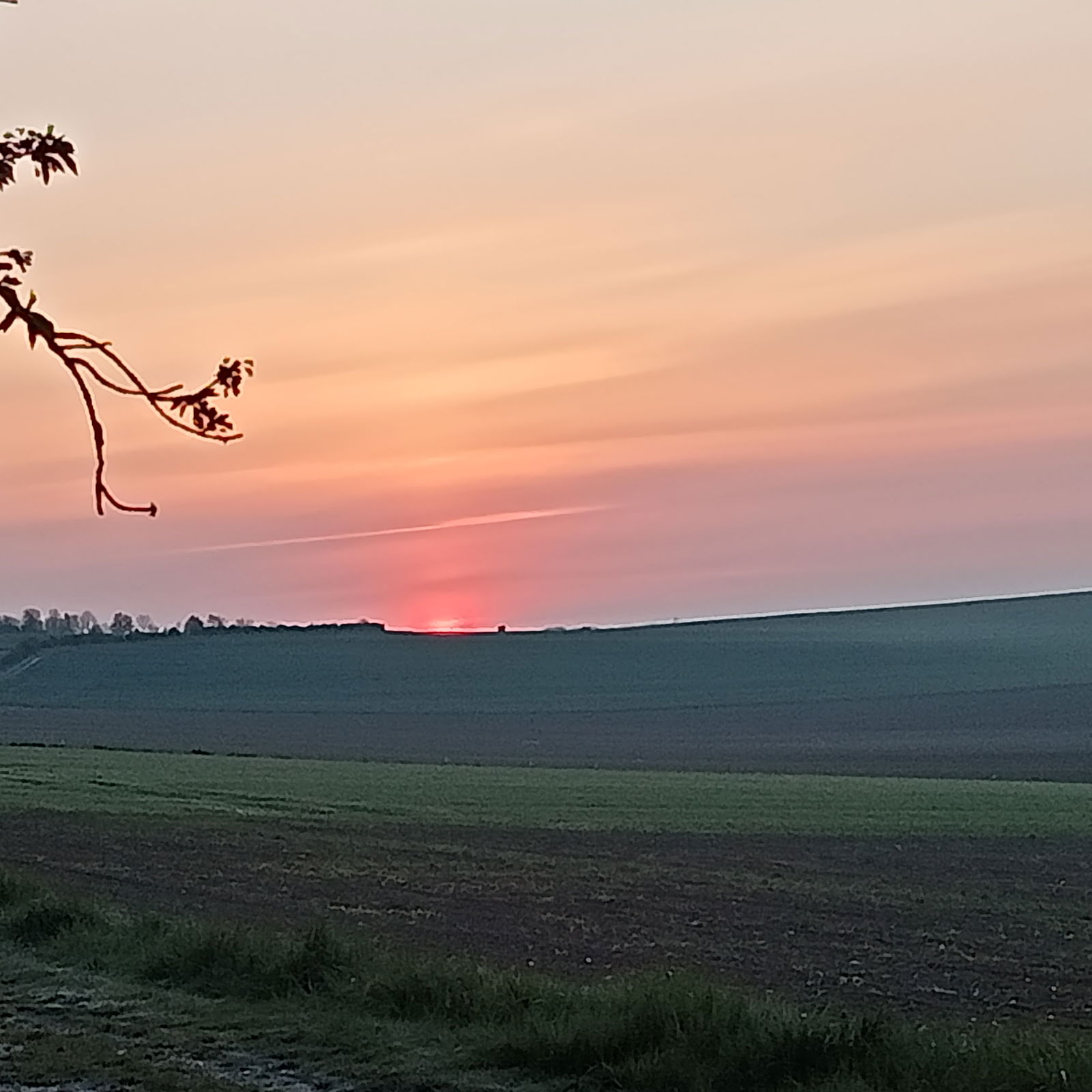 Homestay Boves 589063