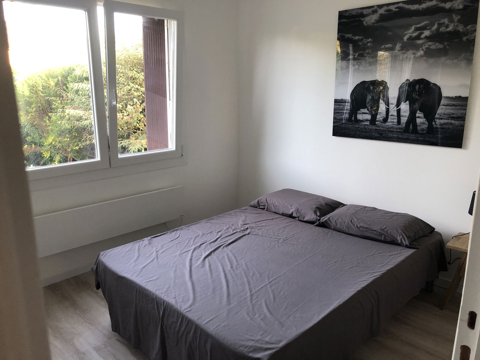 Colocation Fontainebleau 264839