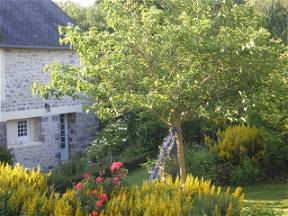 Near Sea, Quiet, Charming Cottage In Orval Garden