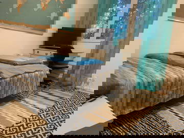 Colocation Ferney-Voltaire 256564-12