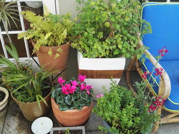 Coliving Cape Town 390088-9