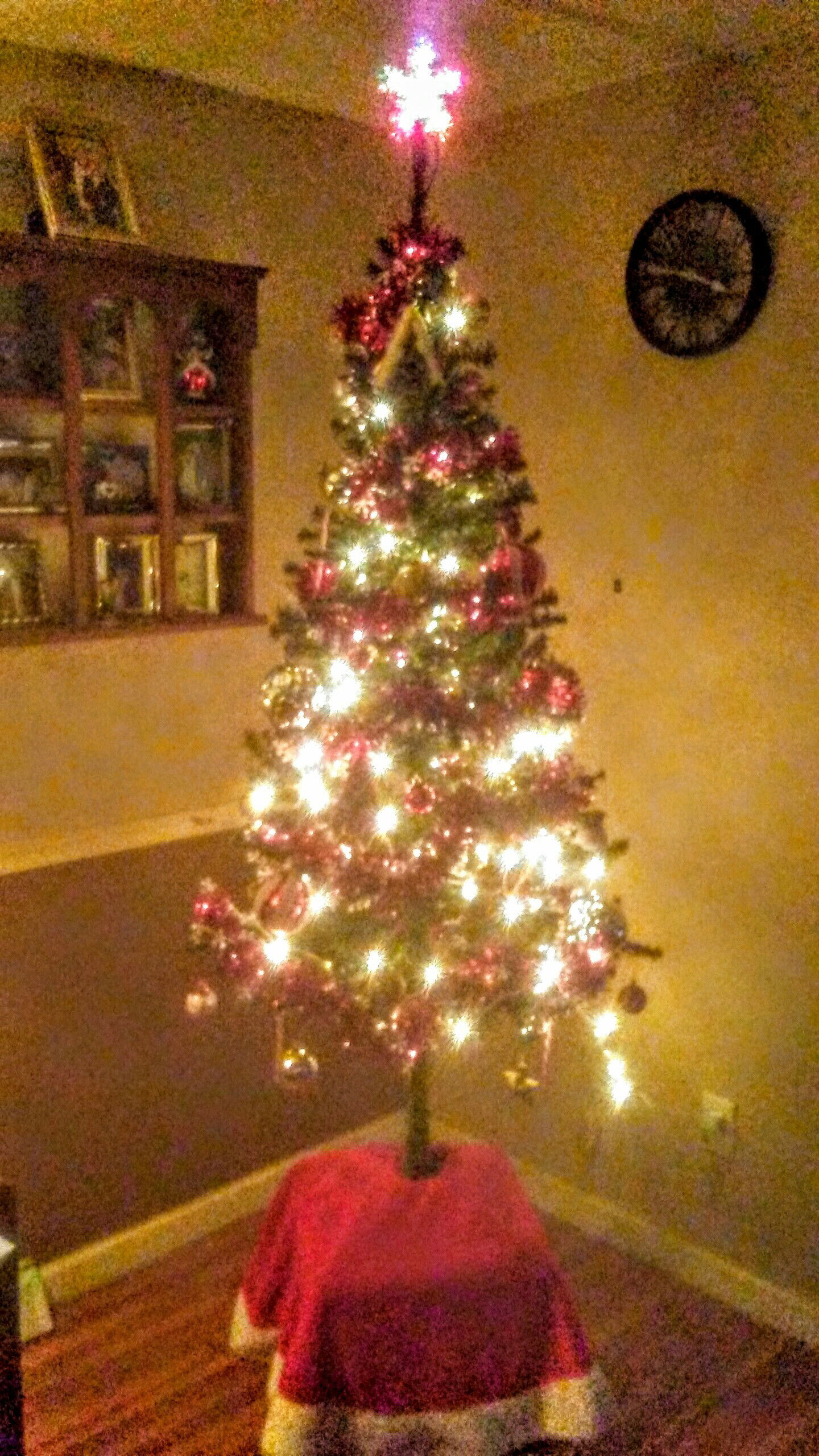 Famiglia Elsie 195610