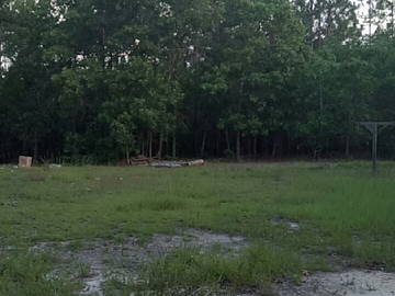 Chambre Chez L'habitant Rockingham 176609-5