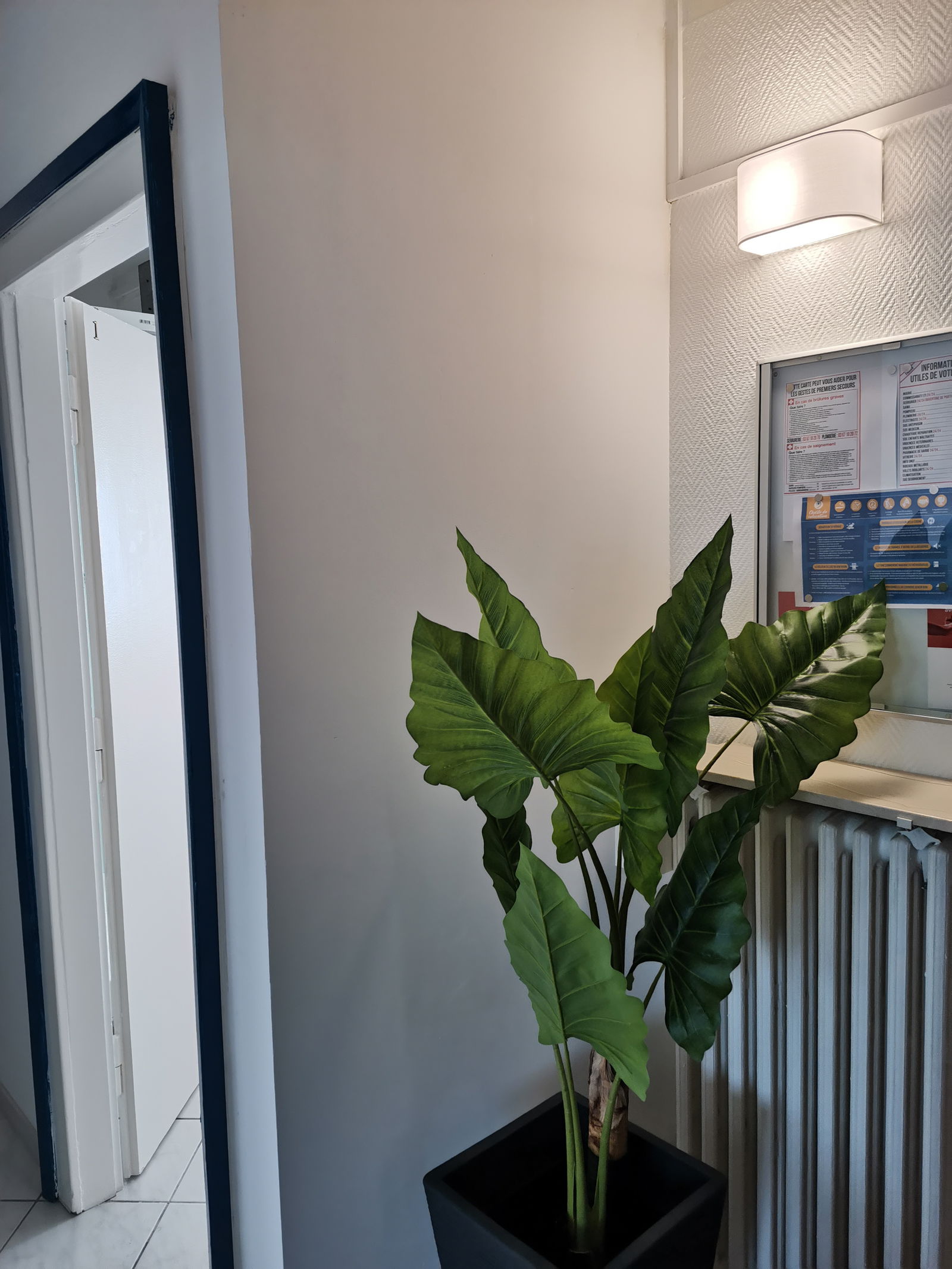 Colocation Metz 251281