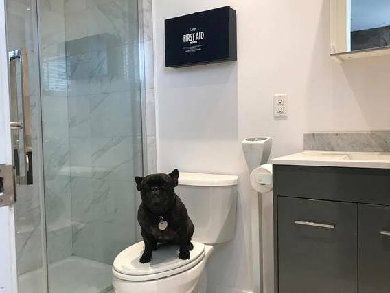 Logement Entier Montréal 229152-2