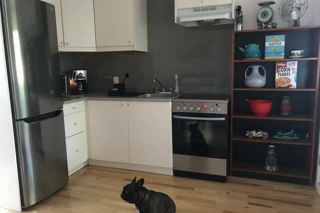 Logement Entier Montréal 229152