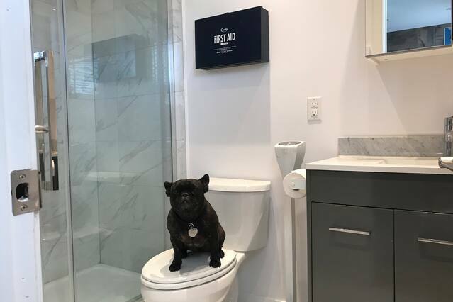 Uafhængigt Studie Montréal 229152