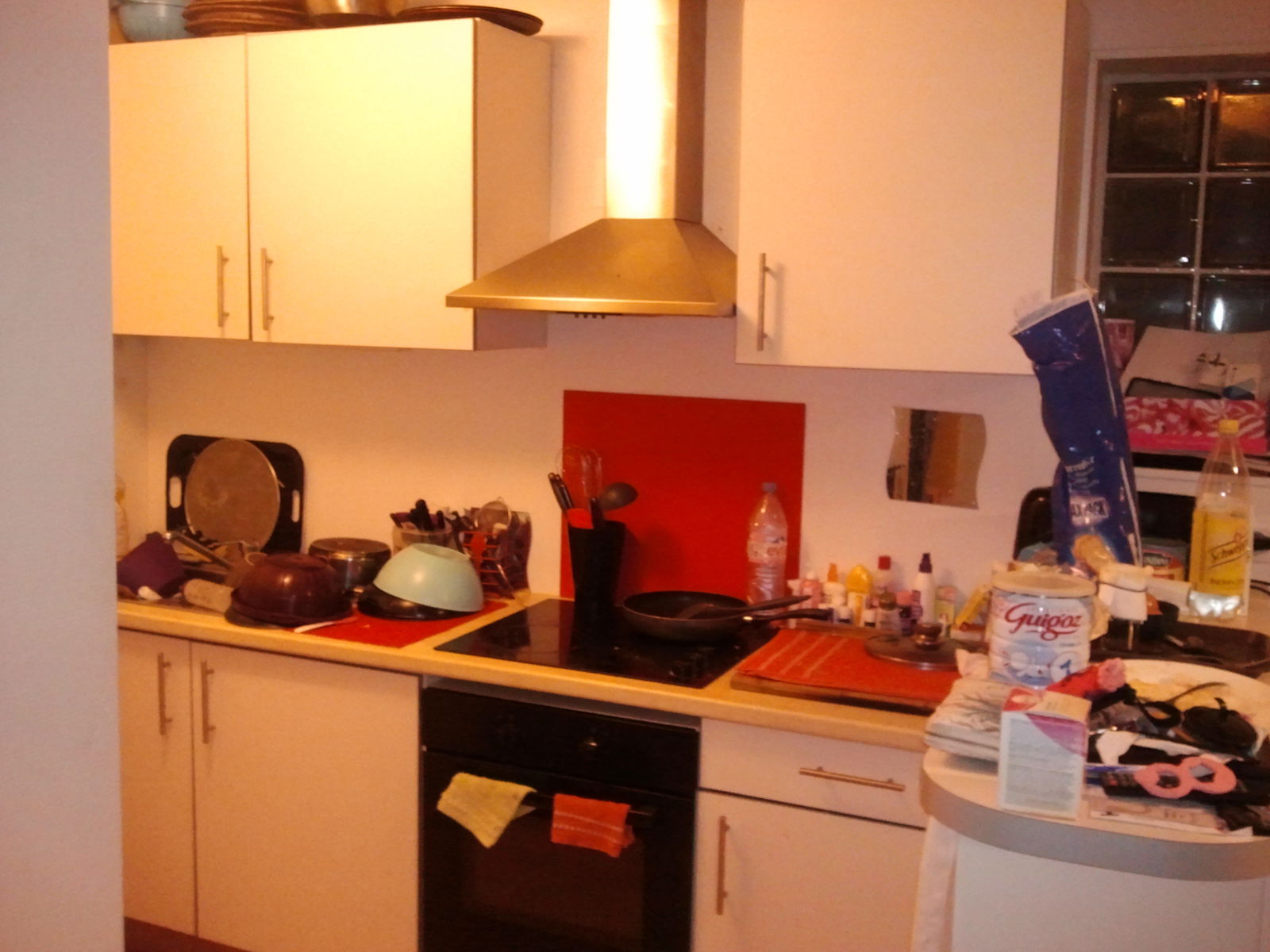 Tuisverblyf Bègles 130528