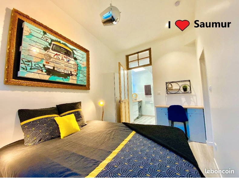 Ganzes Haus Saumur 241399-3