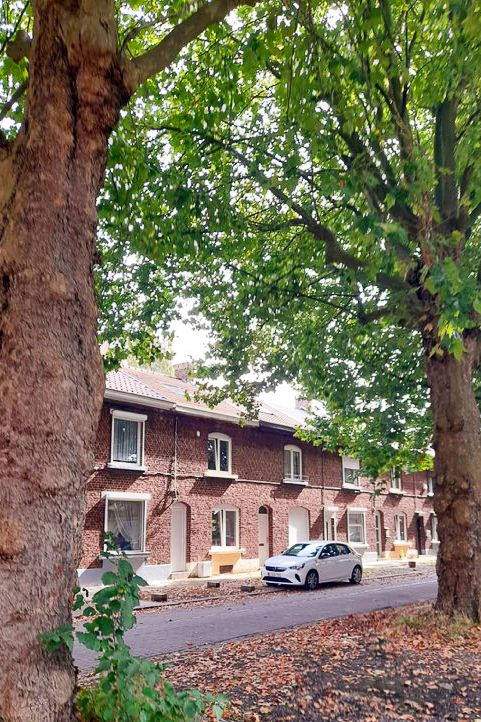 Gastfamilie Charleroi 368345