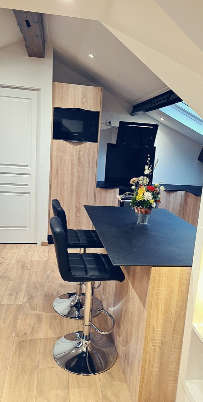 Unabhängiges Studio Saint-Étienne 259678