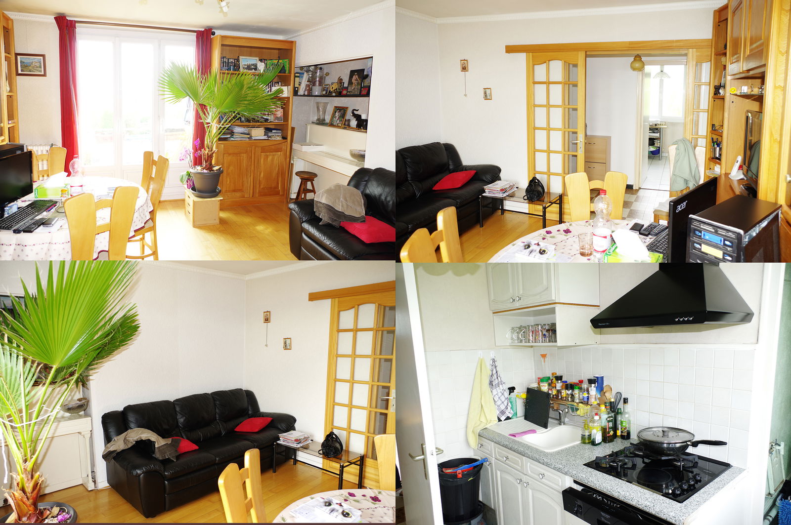 Kolokation Saint-Martin-d'Hères 144236