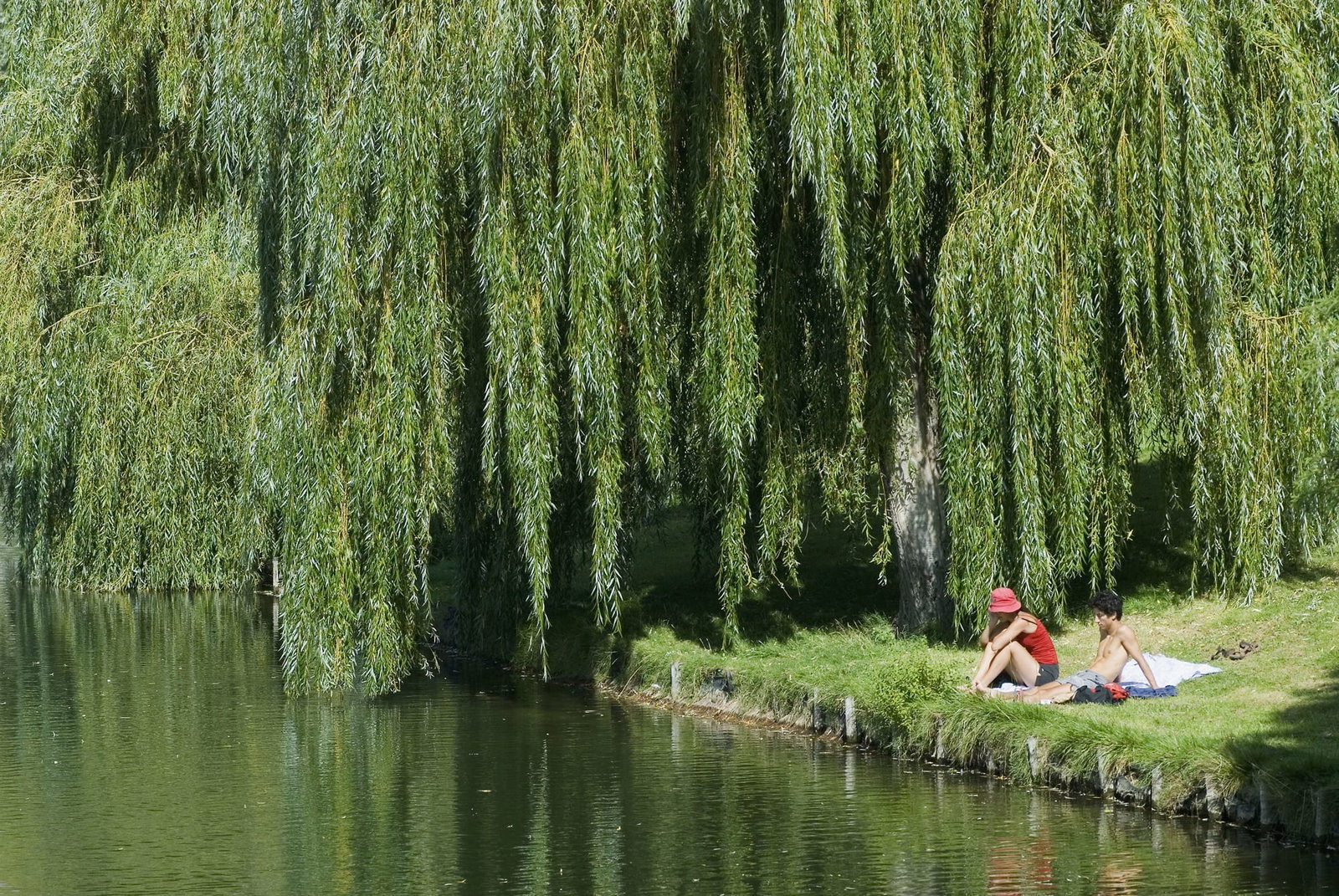 Kolokation Créteil 403062