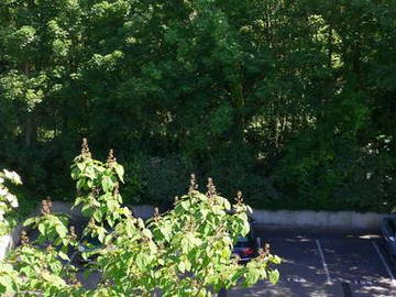 Logement Entier Rouen 214840-7