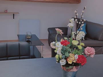 Logement Entier Saint-Étienne 259678-9