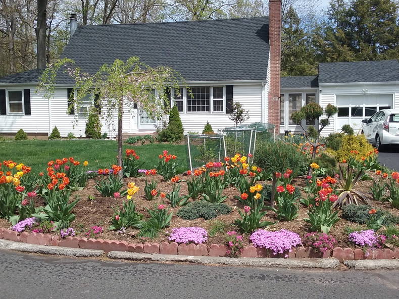 Quedarse En Casa New Britain 216131-1