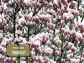 Homestay Namur 370469-8