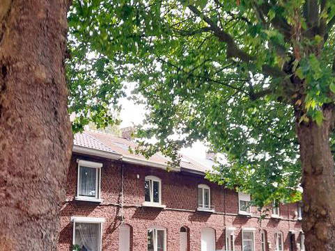 Homestay Charleroi 368345-2