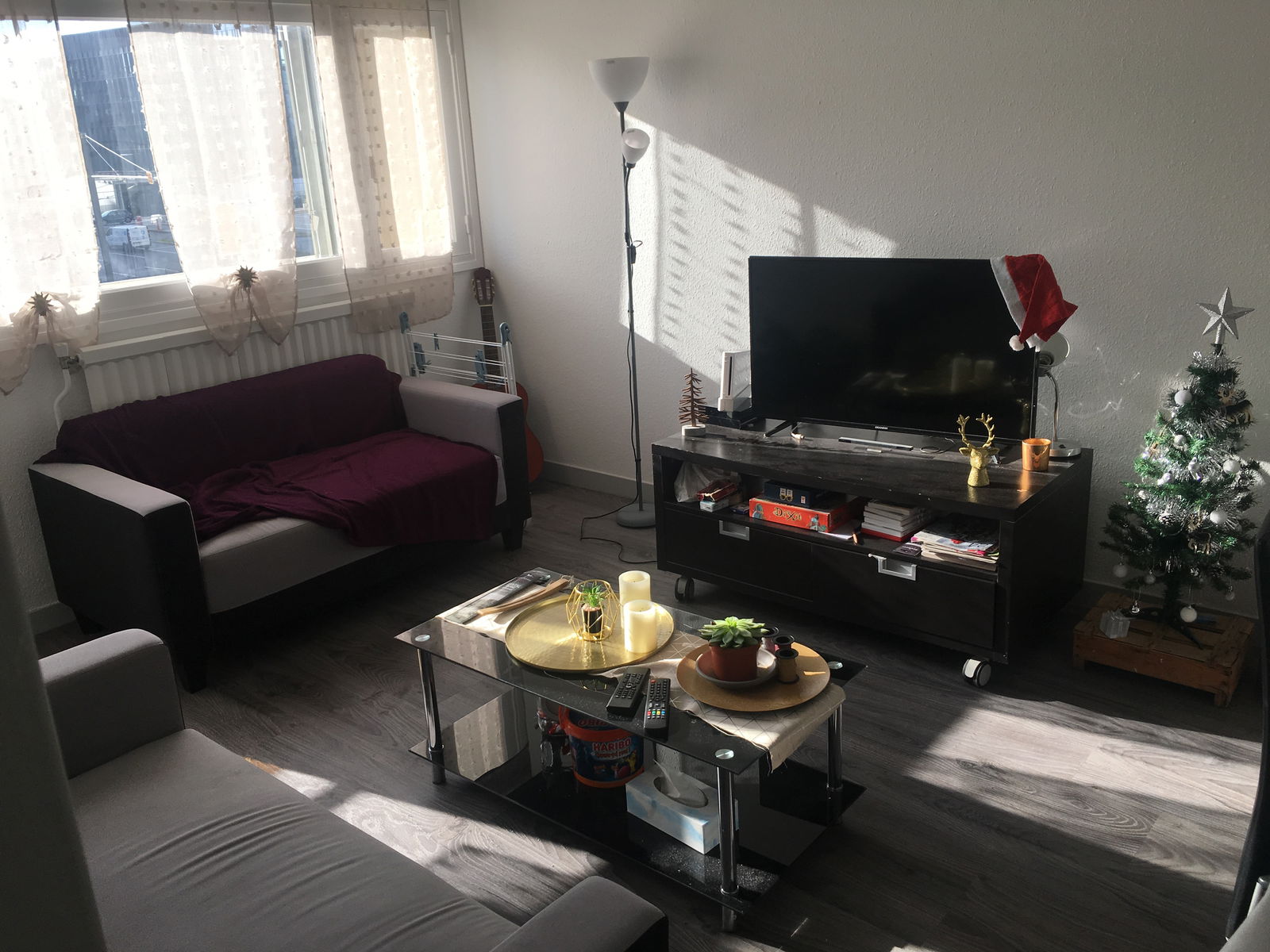 Colocation Toulouse 245805