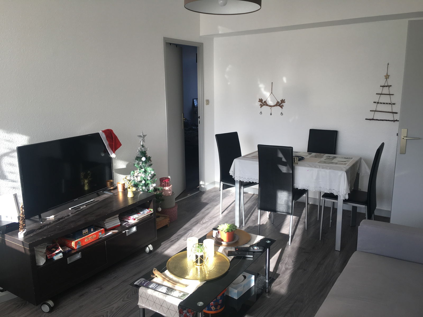 Colocation Toulouse 245805