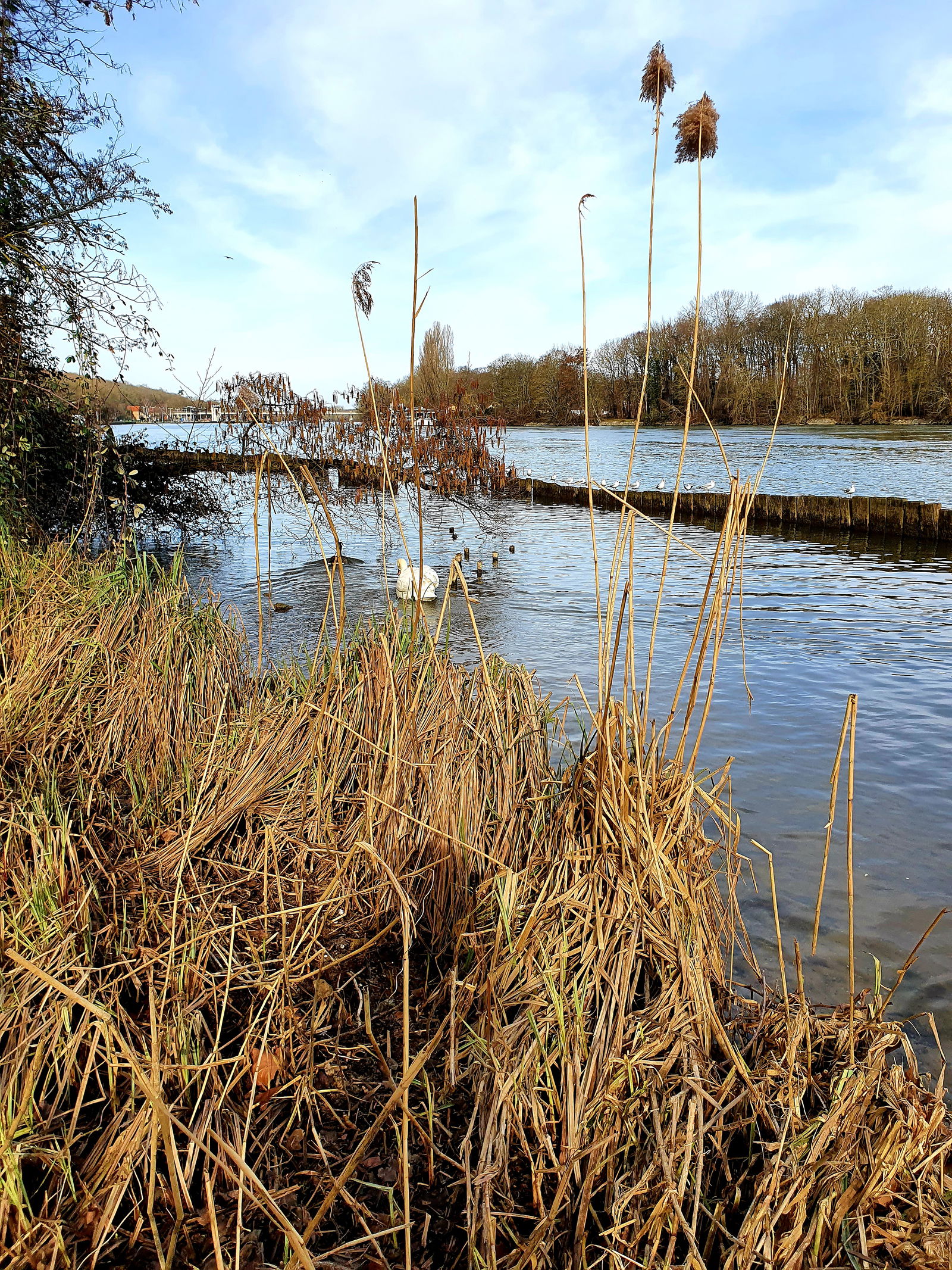 Tuisverblyf Ris-Orangis 266385