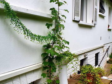 Chambre Chez L'habitant Ris-Orangis 266385-13