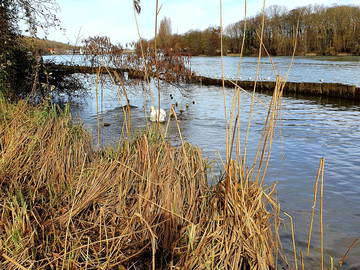 Chambre Chez L'habitant Ris-Orangis 266385-17